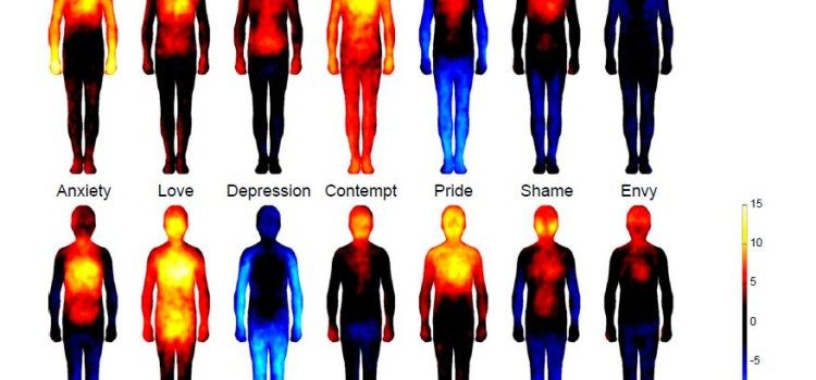 Where Are Emotions and Thoughts Felt In The Body?