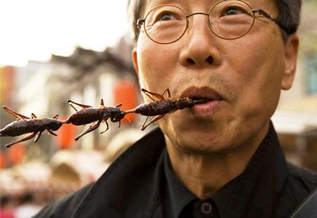 eating Grasshoppers