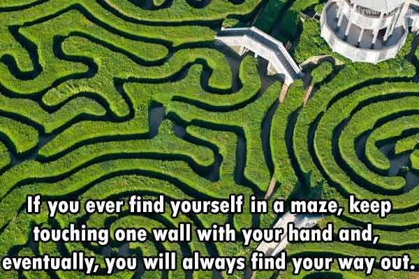 maze tips fact