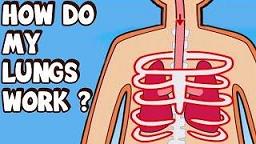 Come Learn How Your Lungs Work [VIDEO]