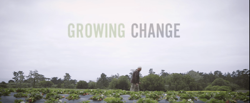The Jim Cochran Strawberry Story [VIDEO]