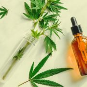 How Does CBD Work In Relation To Health?